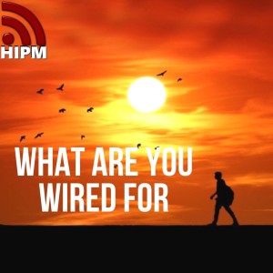 What Are You Wired For