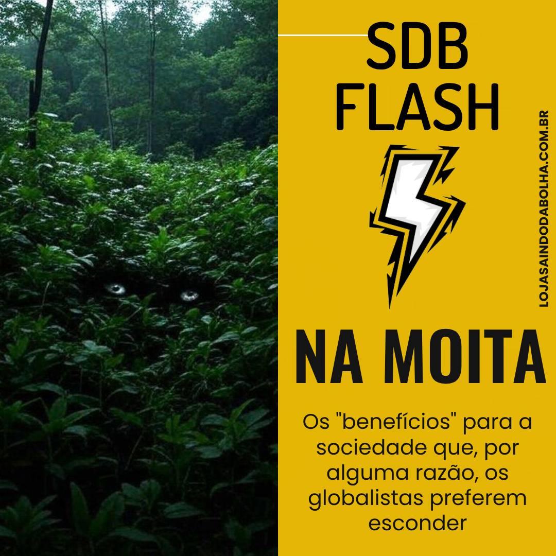 #65 - Na Moita