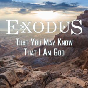 An Overview - The God and Goal of Exodus