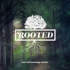 ROOTED - Part 3