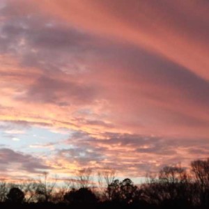 Stories of life, from the back porch 01