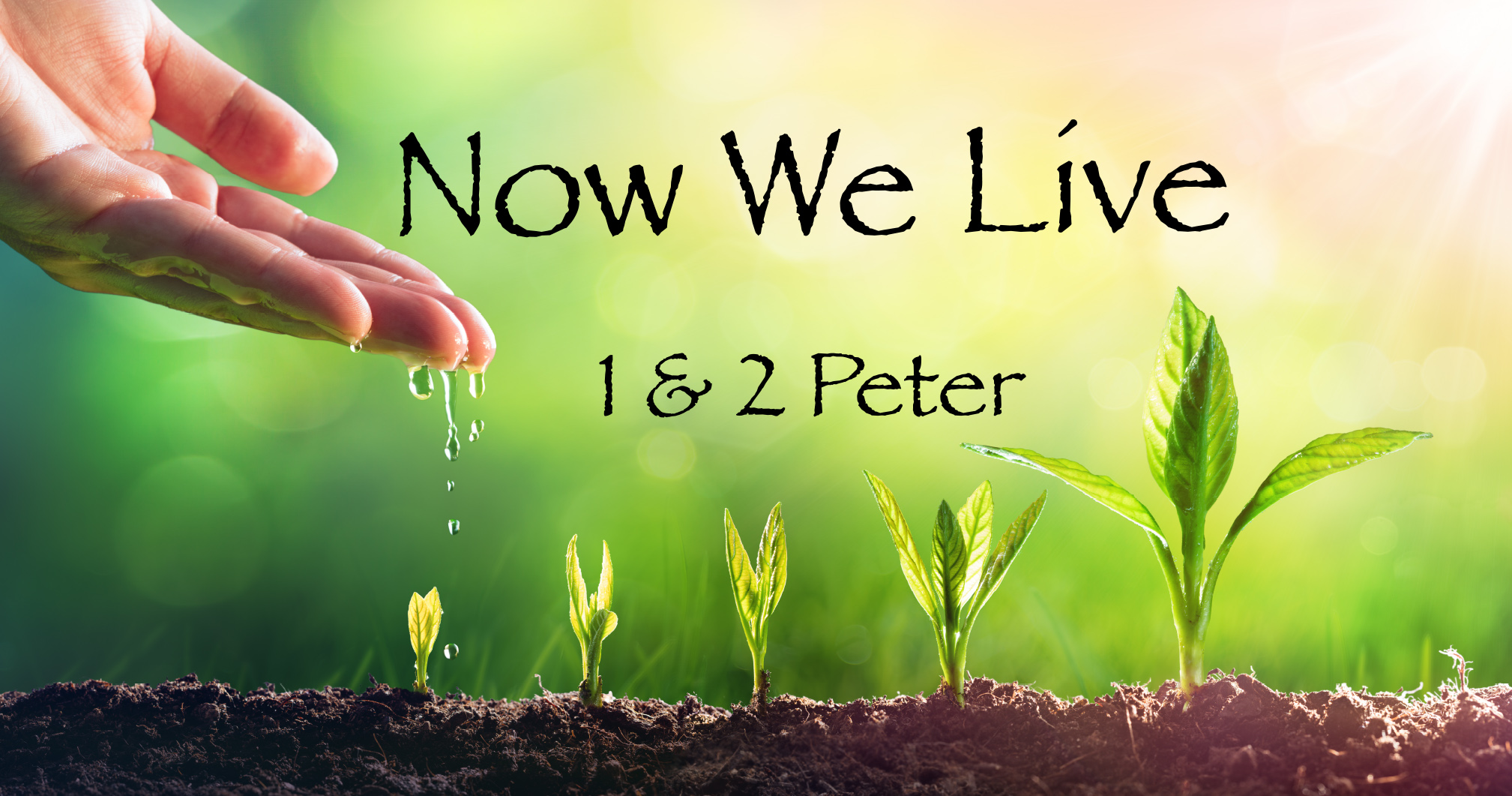 Now We Live - Everything We Need for Godly Living
