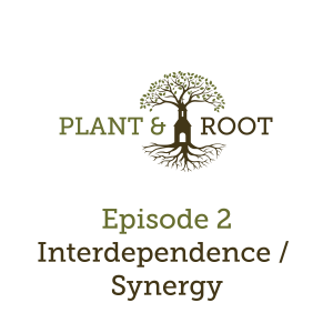 Ep. 2 - Interdependence / Synergy