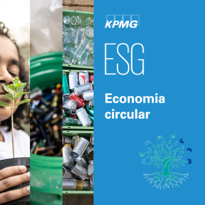 Economia circular transforma negócios, a sociedade e o planeta | ESG