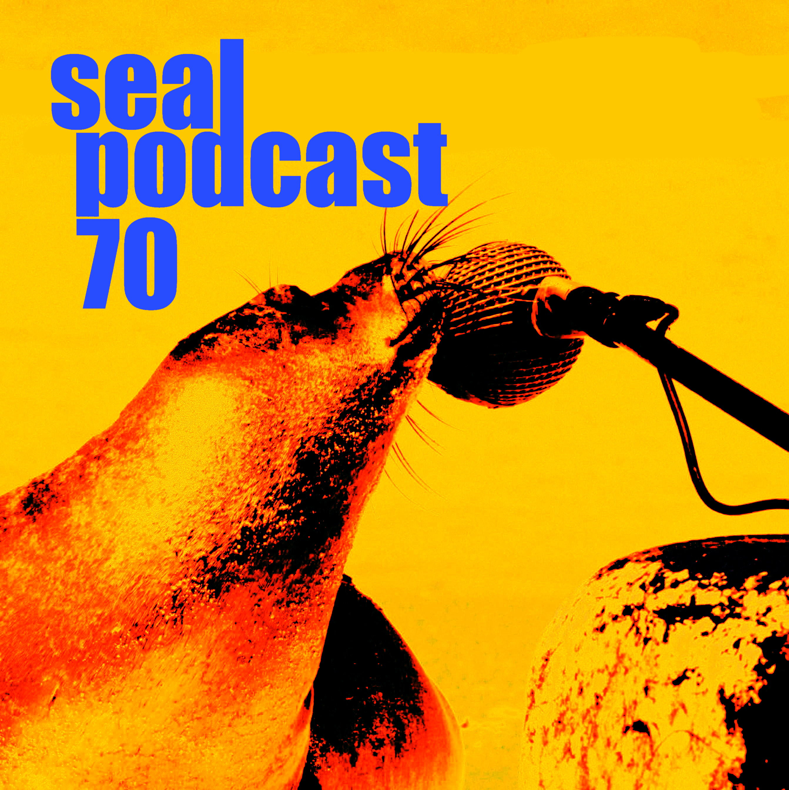 Episode 70 - Washing Up