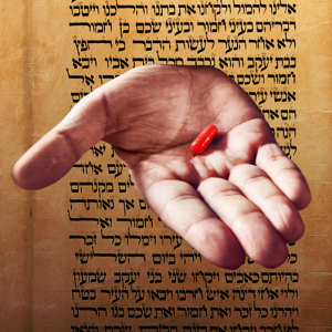 RedPill Torah Episode 2: What is Torah?
