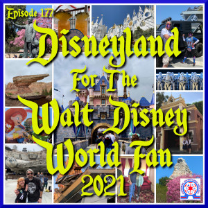 Disneyland For The Walt Disney World Fan 2021