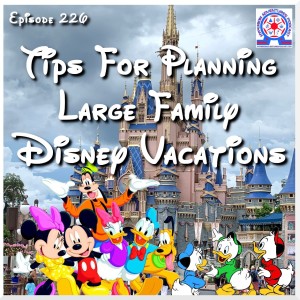 Tips For Planning Large Family Disney Vacations