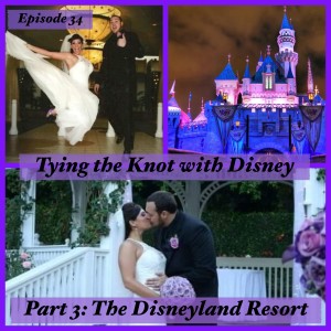 Tying The Knot With Disney Part 3 - Disneyland