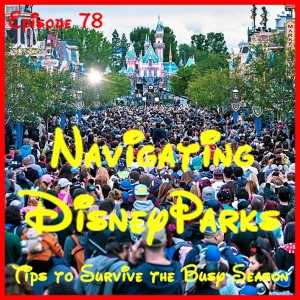 Navigating Disney Parks - Tips to Survive the Busy Season