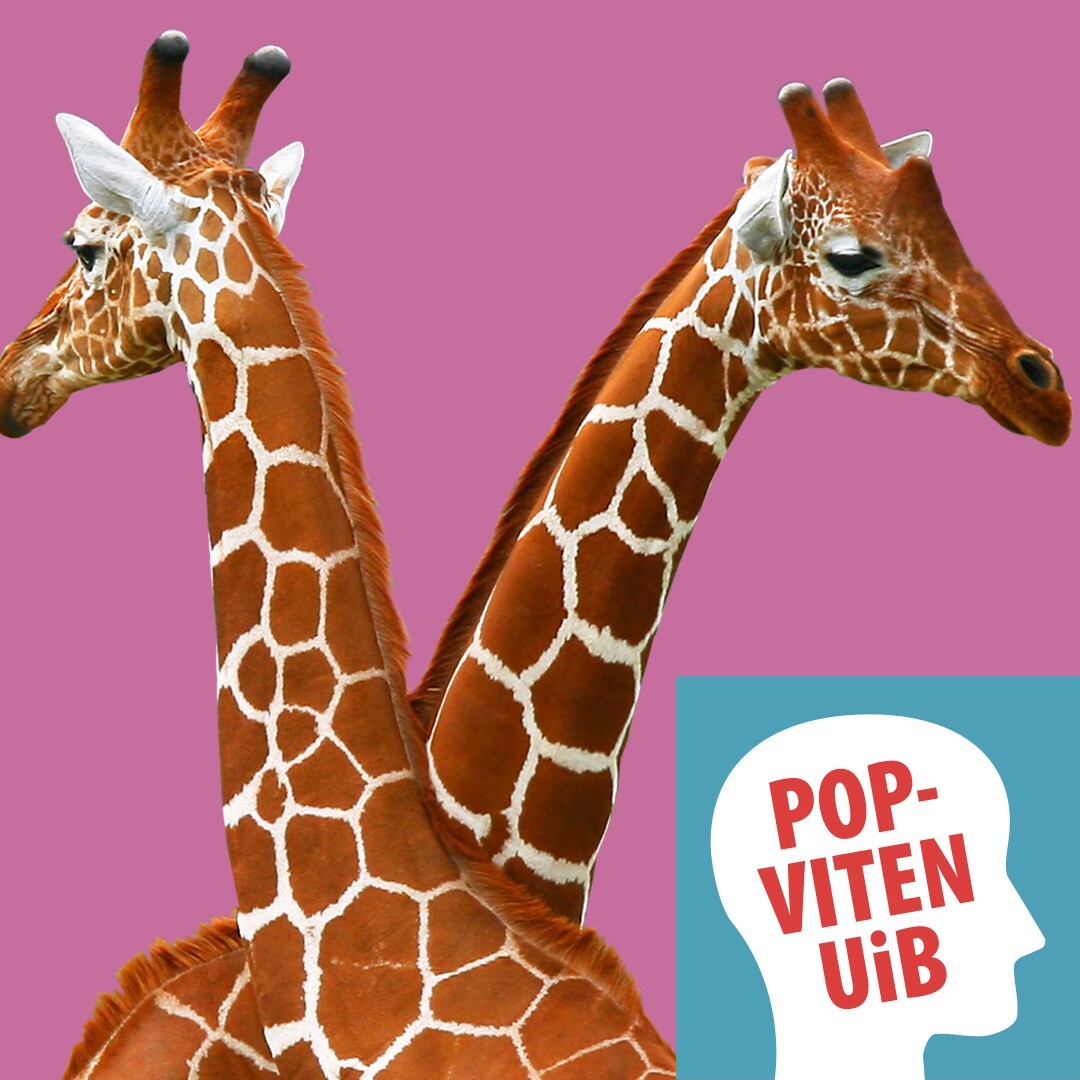 UiB POPVITEN