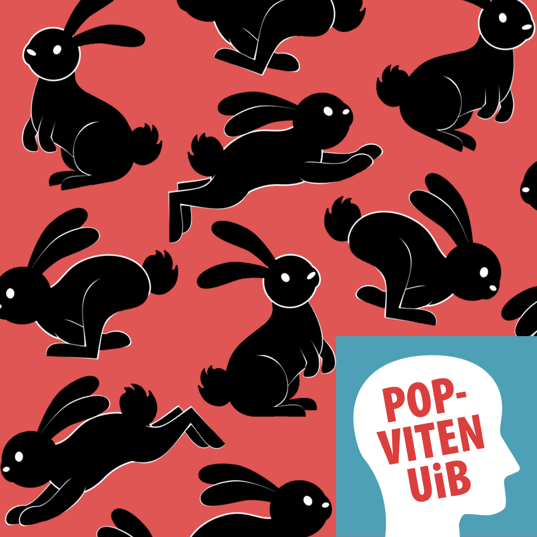 UiB POPVITEN