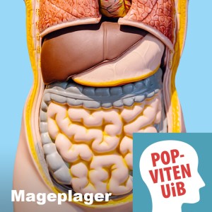 Mageplager