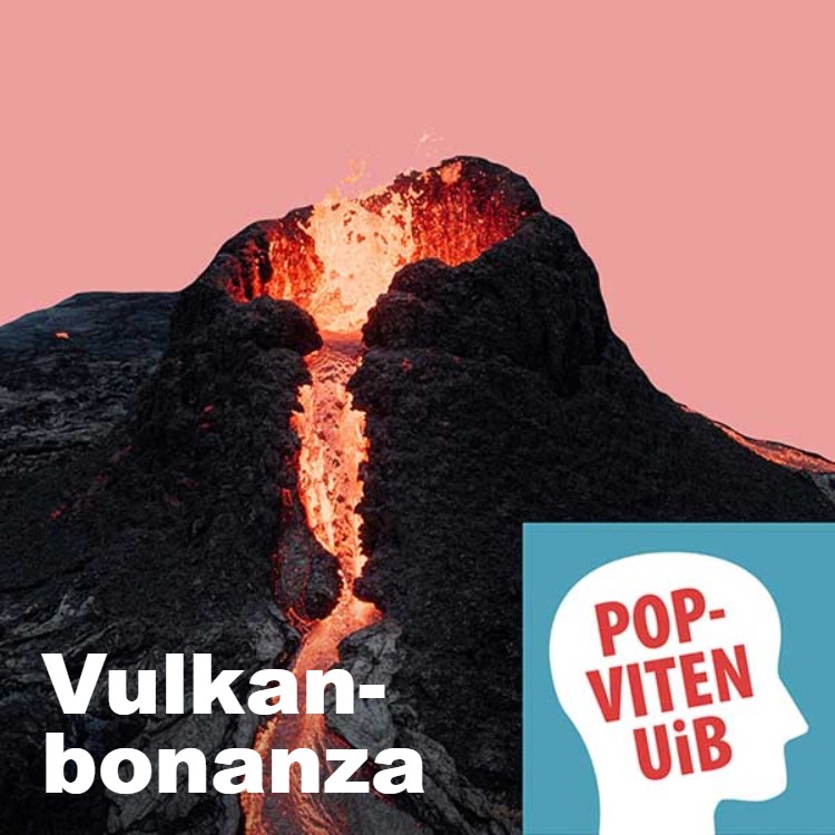 UiB POPVITEN