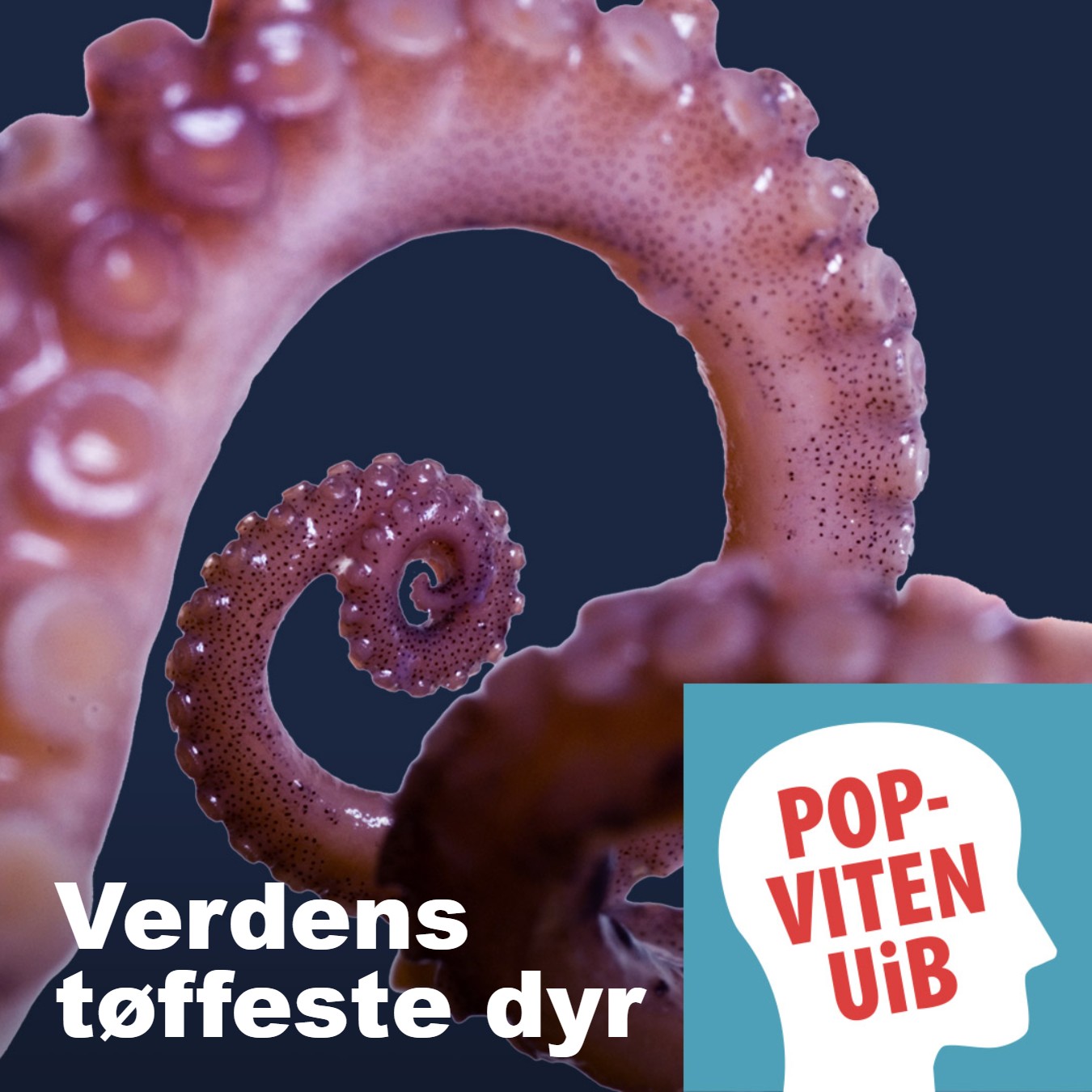 UiB POPVITEN
