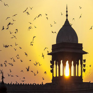 Discover Interesting Facts about Delhi Tours