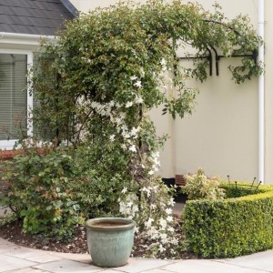 How to Create a Feature Arch in Your Garden