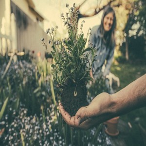 How to Get Your Garden Ready for the Spring