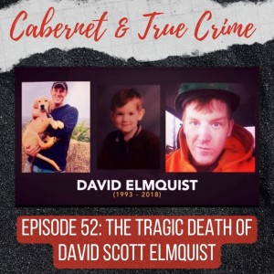 Episode 52: The Tragic Death of David Scott Elmquist