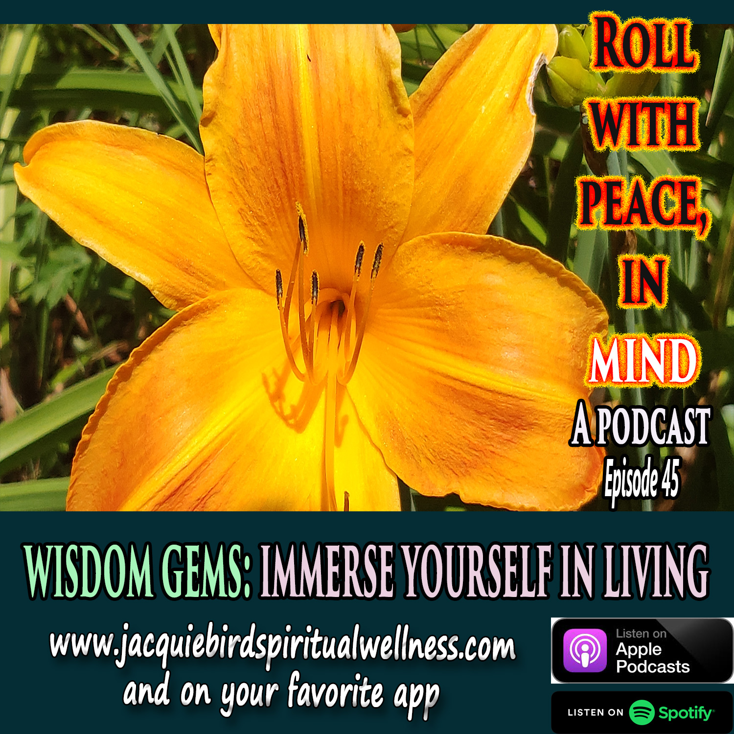 Roll With Peace, In Mind