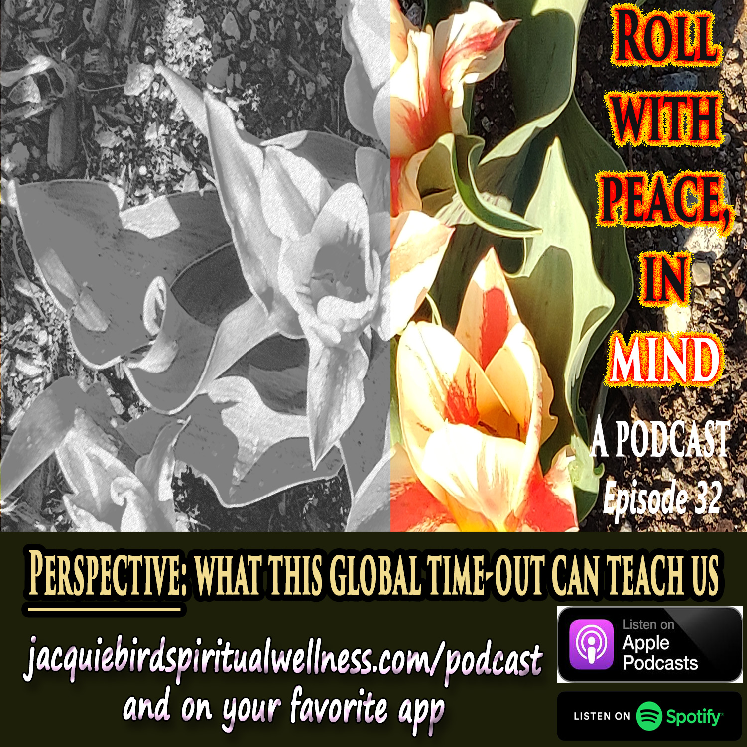 Roll With Peace, In Mind