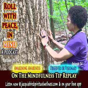 An On The Mindfulness Tip Replay