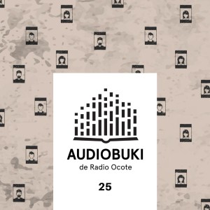 Audiobuki 25 // la amistad busca a sus desaparecidos