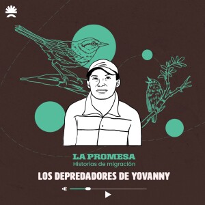 La promesa 01 | Los depredadores de Yovanny