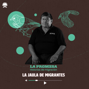 La promesa 03 | La jaula de migrantes