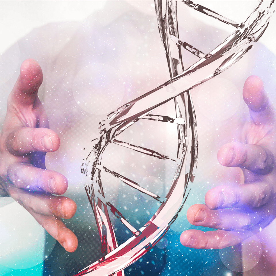 Ako bioinžinieri upravujú gény: CRISPR a genetický kufrík s náradím 