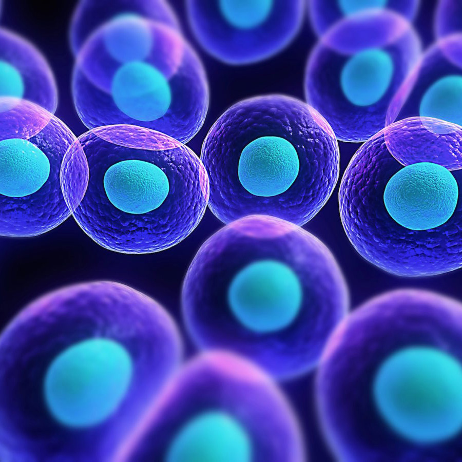 Syntetické bunky: najambicióznejší projekt v histórii