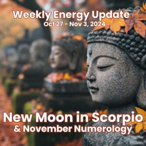 #351 - Weekly Energy Update for Oct 27 - Nov 3: New Moon in Scorpio & November Numerology