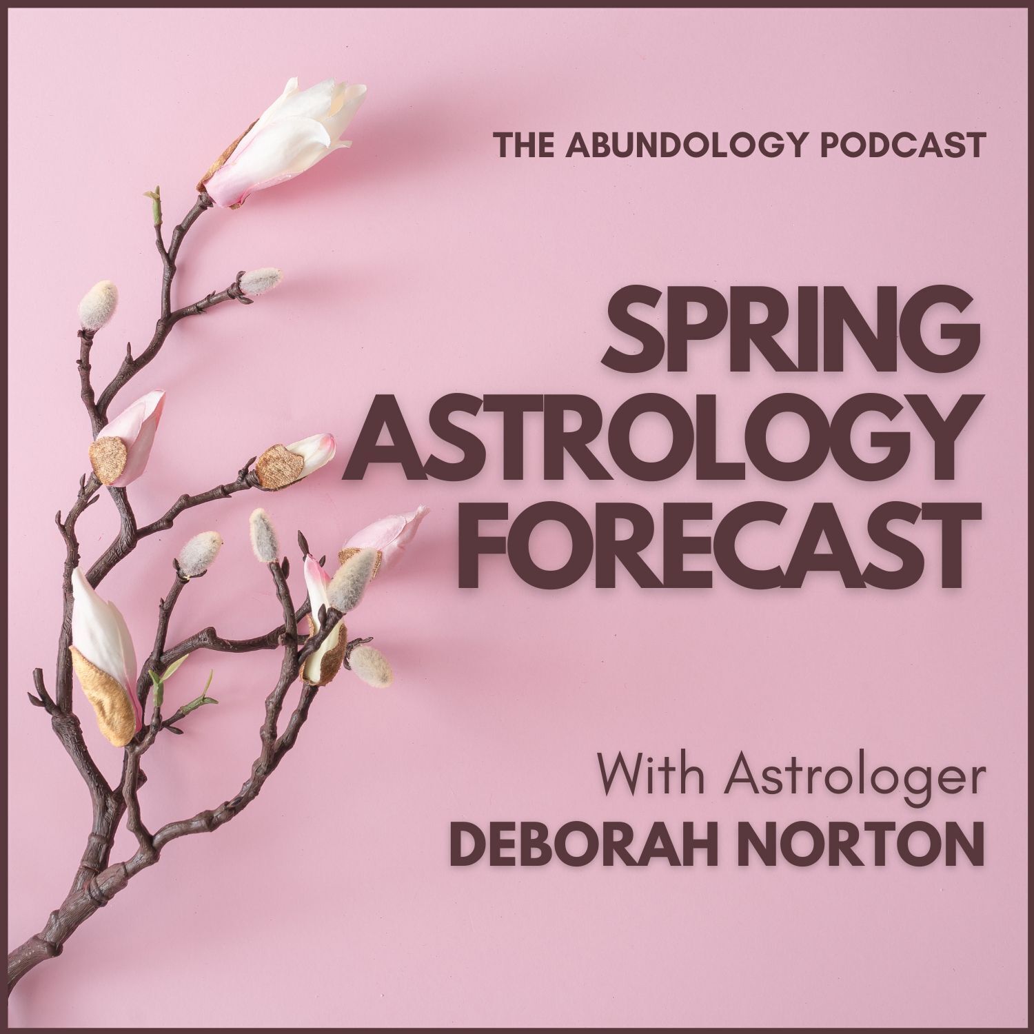 The Abundology Podcast