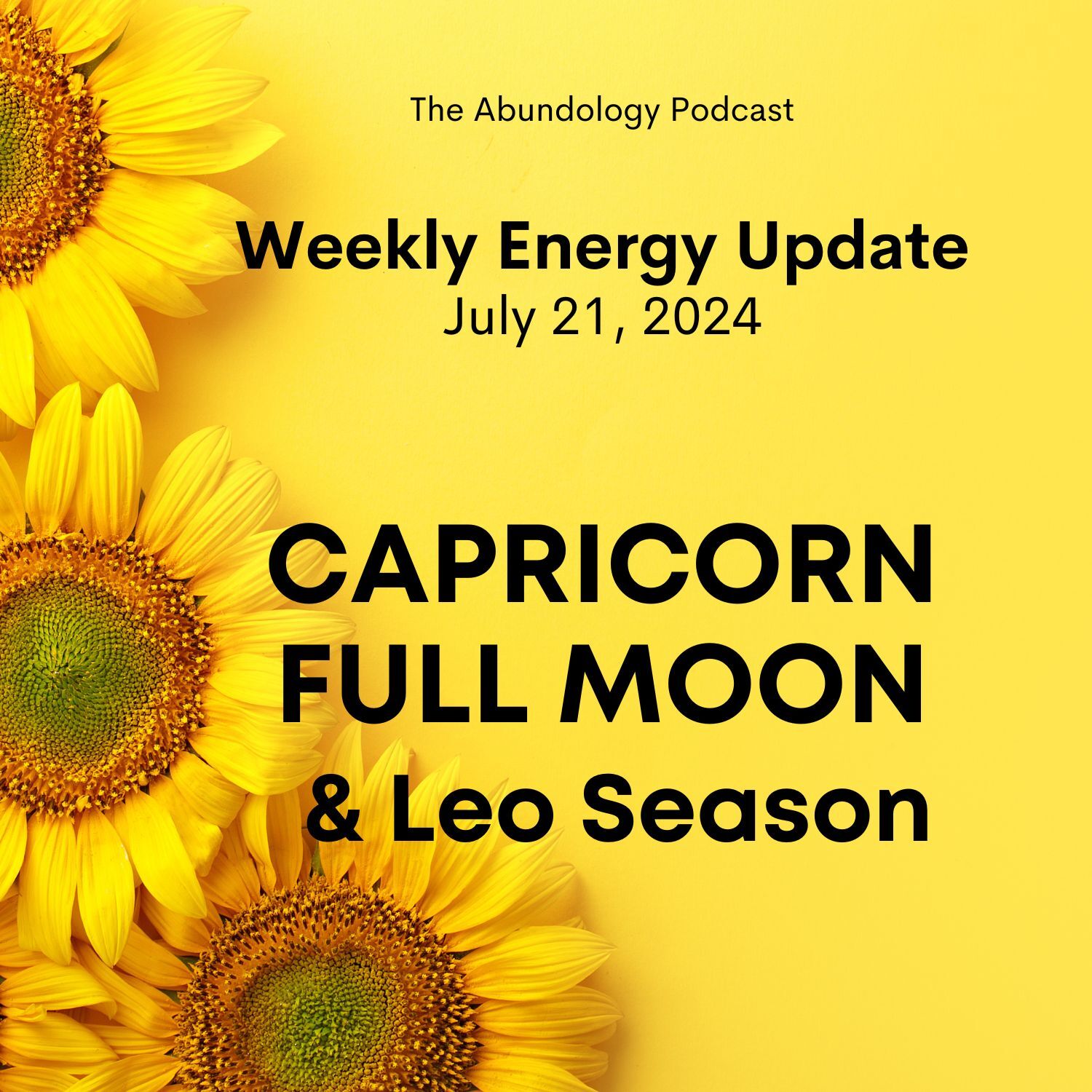 The Abundology Podcast