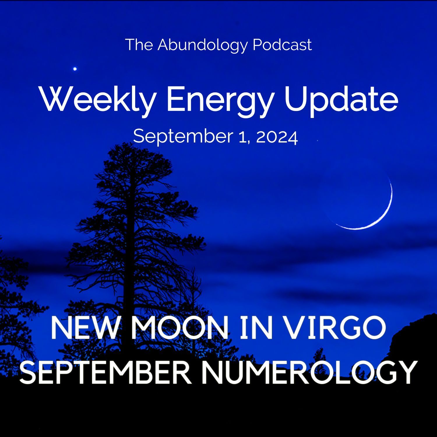 The Abundology Podcast
