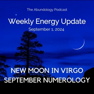 #343 - Weekly Energy Update for September 1, 2024: New Moon in Virgo & September Numerology