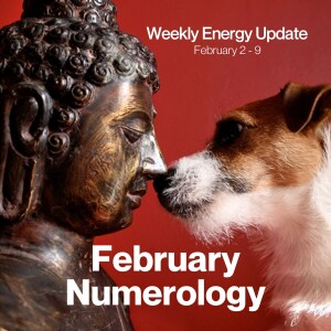 #367 - Weekly Energy Update for February 2 - 9: February Numerology