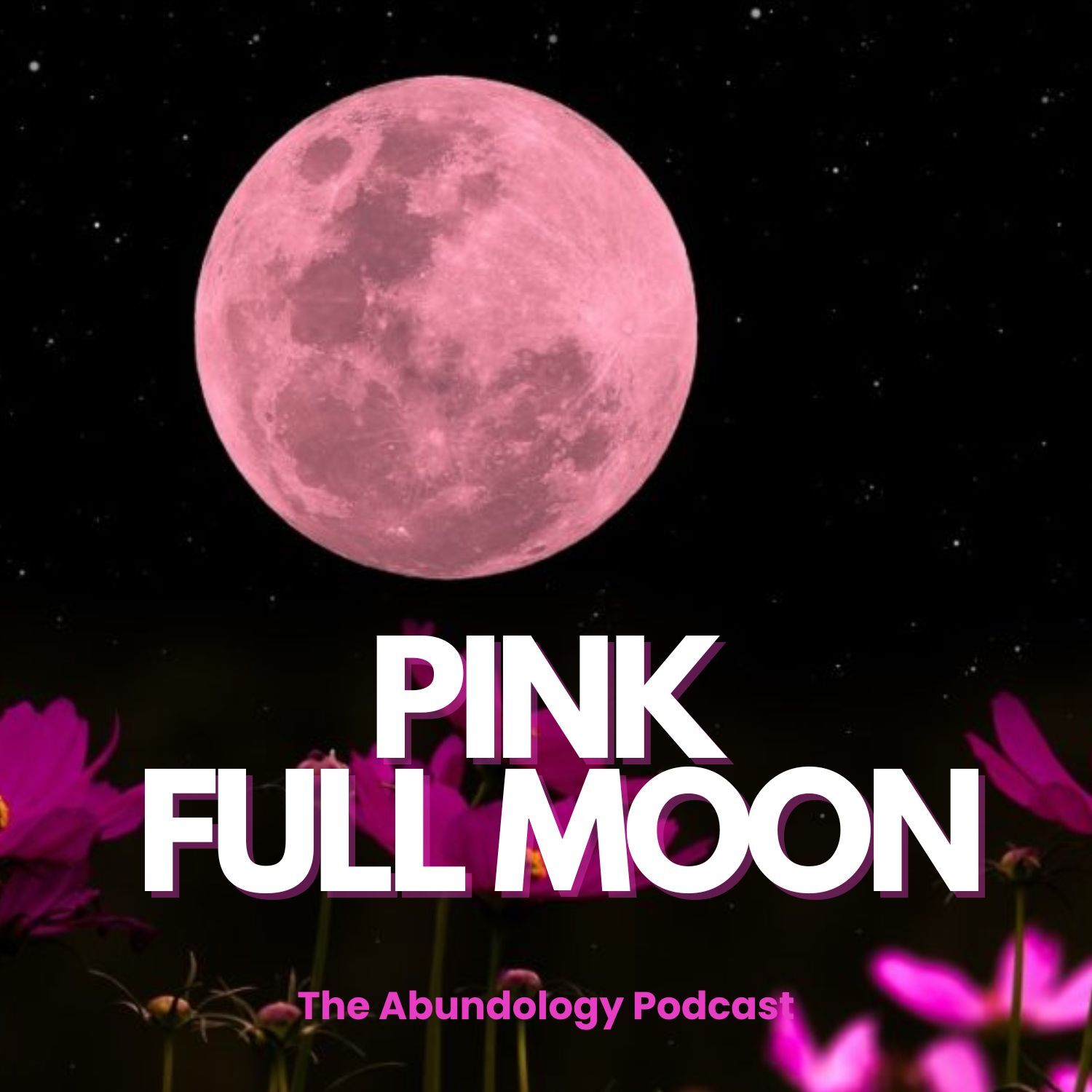 The Abundology Podcast