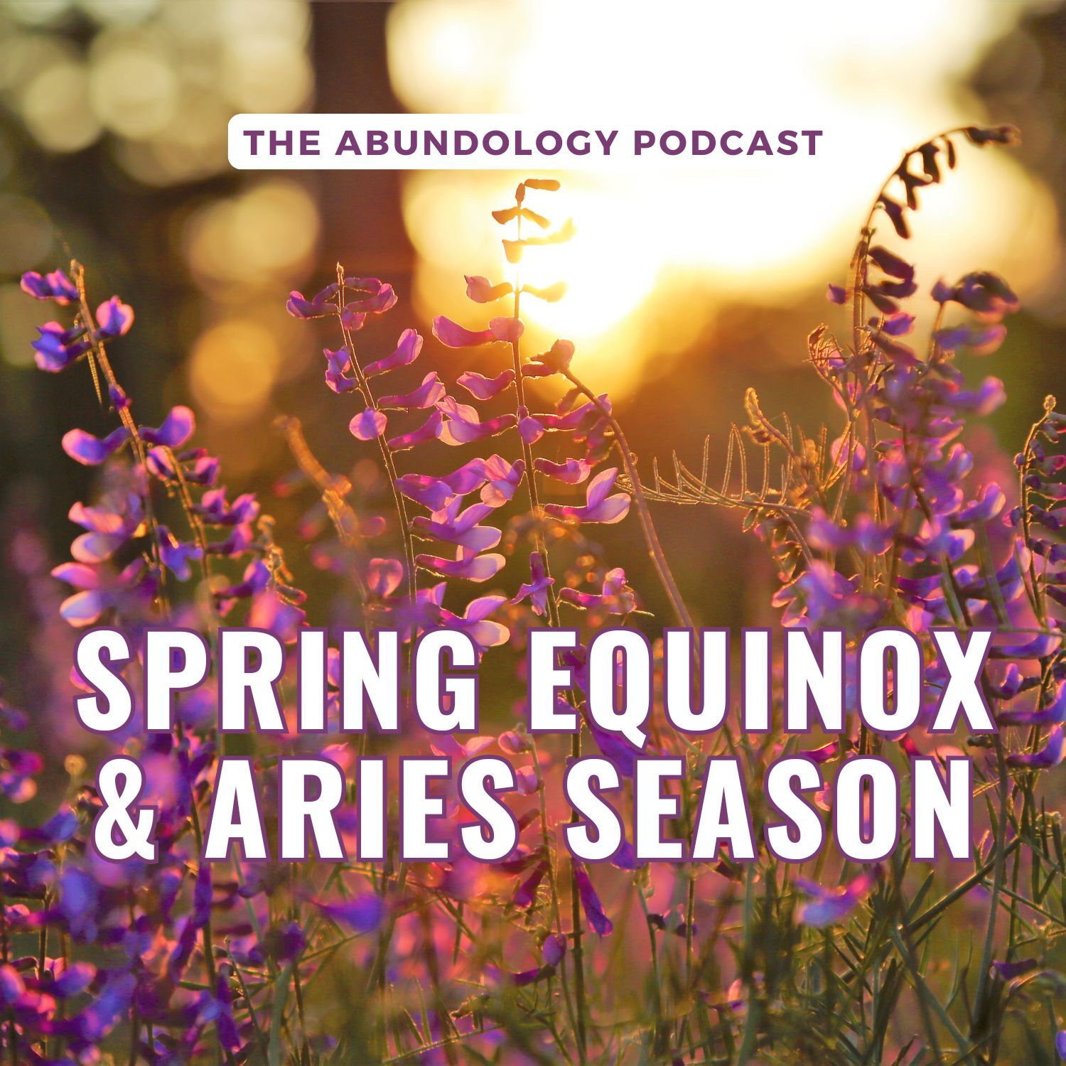 The Abundology Podcast