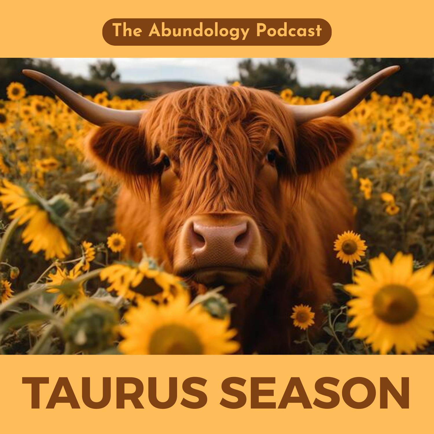 The Abundology Podcast