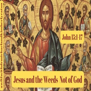 A Word from the Lord Tv:  Jesus and the Weeds Not of God