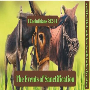 The Events of Sanctification