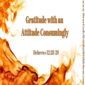 Gratitude with an Attitude Consumingly