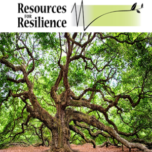 The ACE Study, Resources for Resilience, Meditation for Children