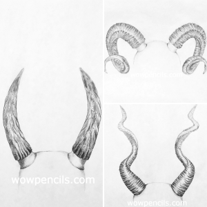 How to Draw Horns Easy: Step-by-Step Instruction