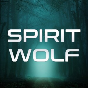 Spirit Wolf - Black Book Remixes