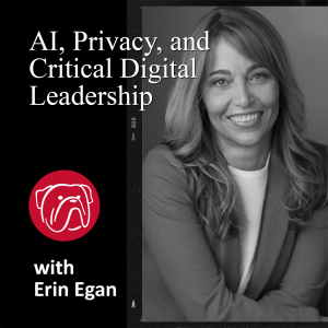 AI, Privacy, and Critical Digital Leadership