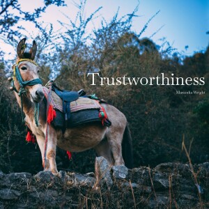 Trustworthiness