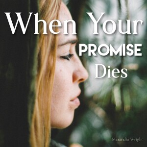 When Your Promise Dies