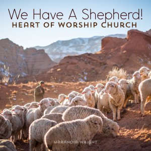We Have a Shepherd!